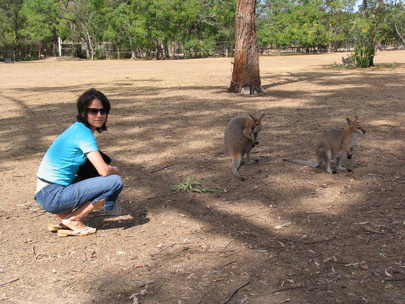 Lone Pine Sanctuary (11).jpg